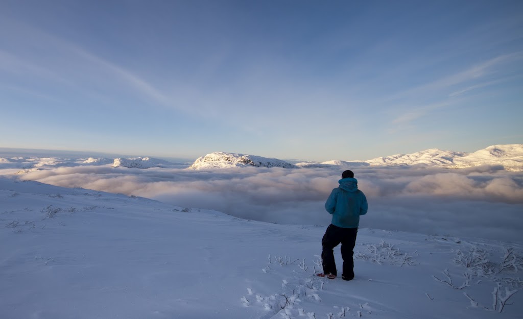nonfjell - jo bjørnar